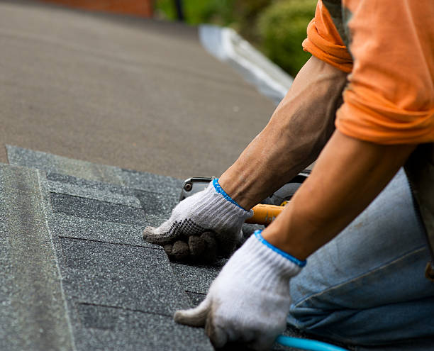 Best Roof Leak Repair  in Heceta Beach, OR