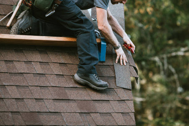 Best Local Roofing Companies  in Heceta Beach, OR